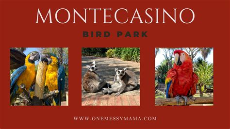 Monte Casino Bird Park Rates